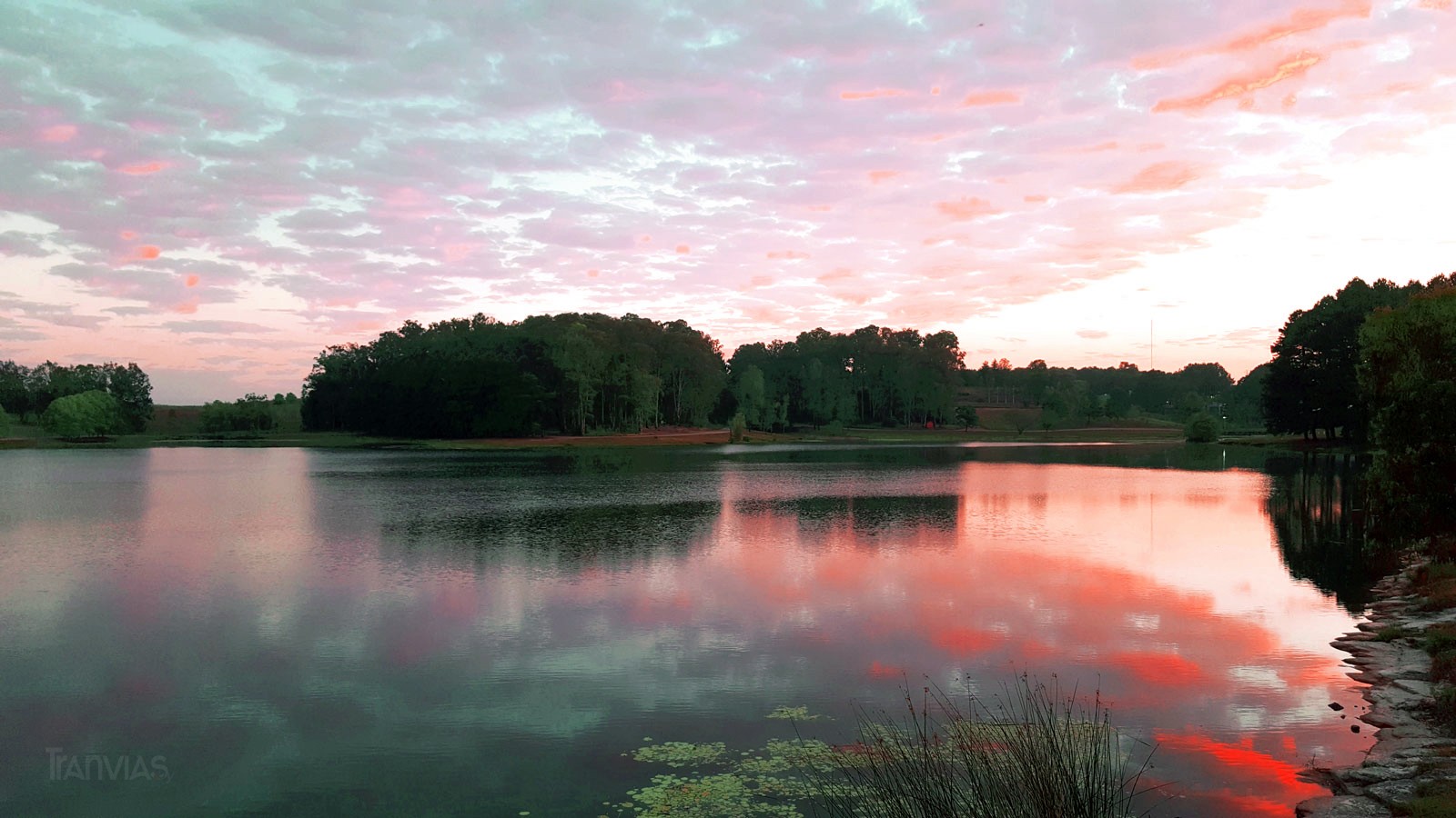 foto © tranvias.uy - aldo novick