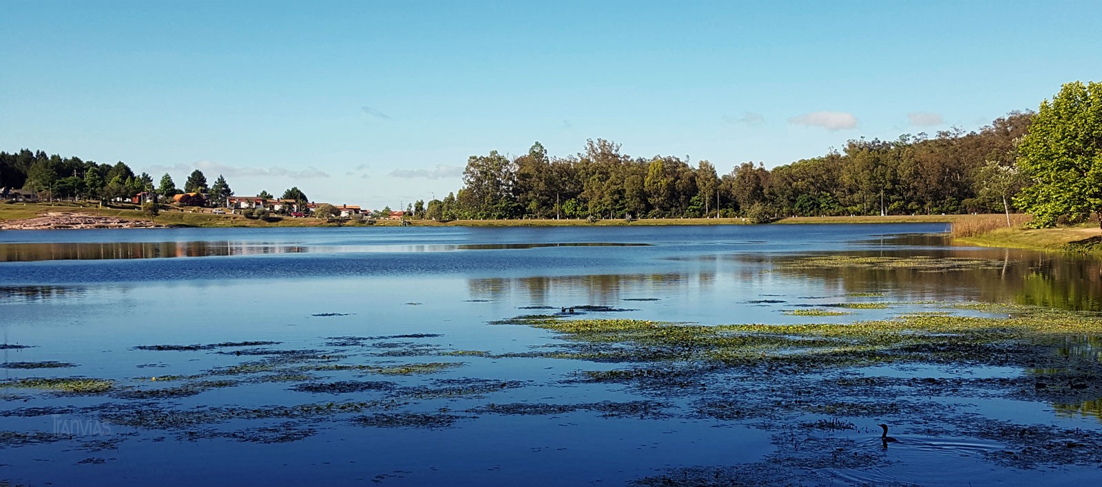 sobre sobre el fondo del lago el Complejo Sepé