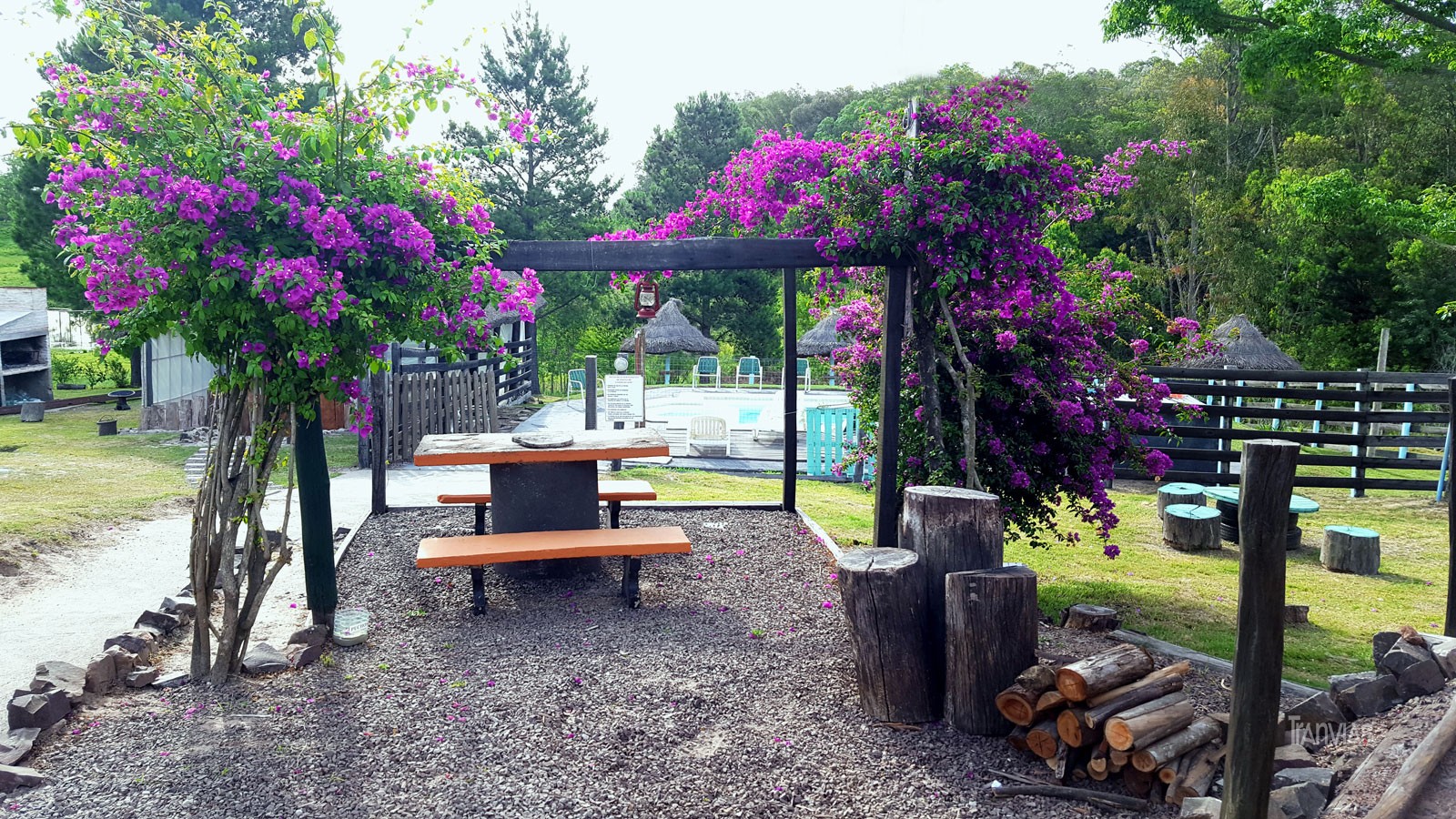 el diseño del jardín del complejo y los contrastes de los colores en uno de los sectores antes de llegar a  la piscina