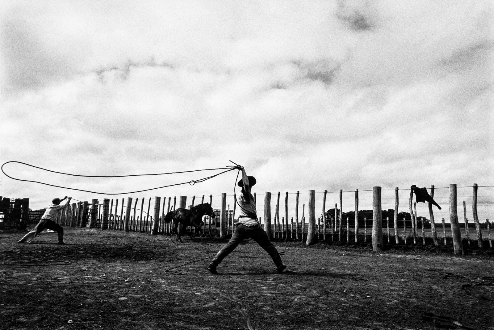 Potros en rotación para castrado, Gauchos en Uruguay, 2005