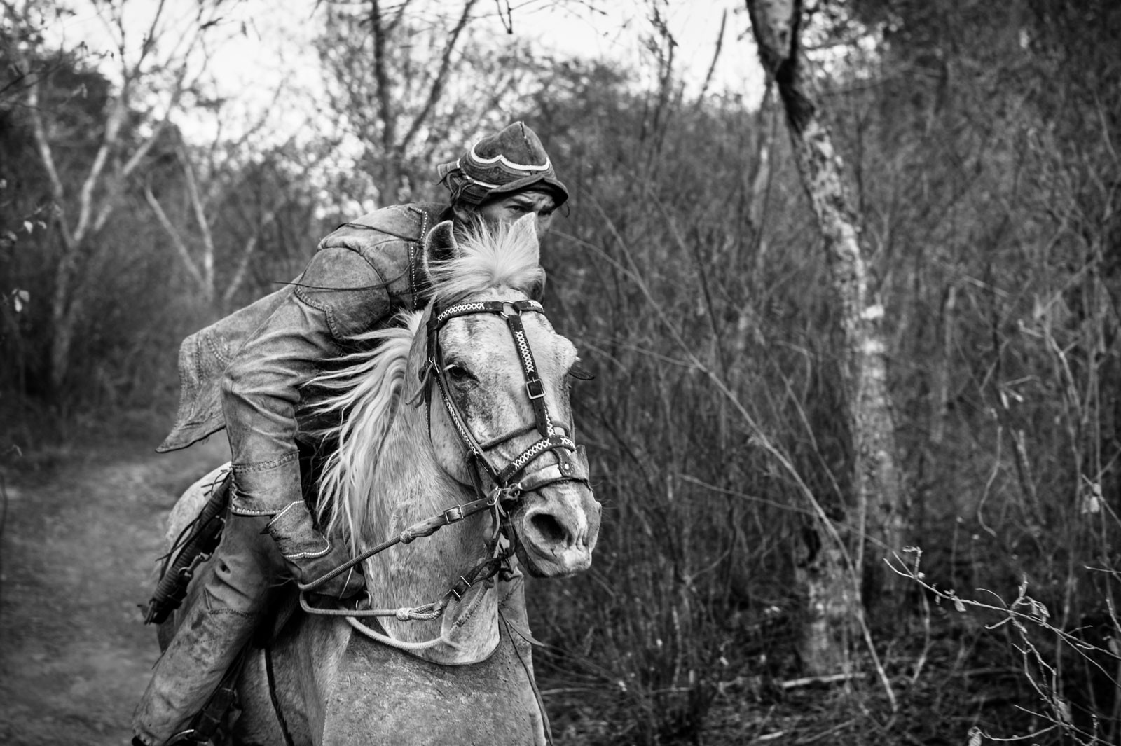 Un vaquero pastoreando su ganado, Vaqueros, Brasil 2010