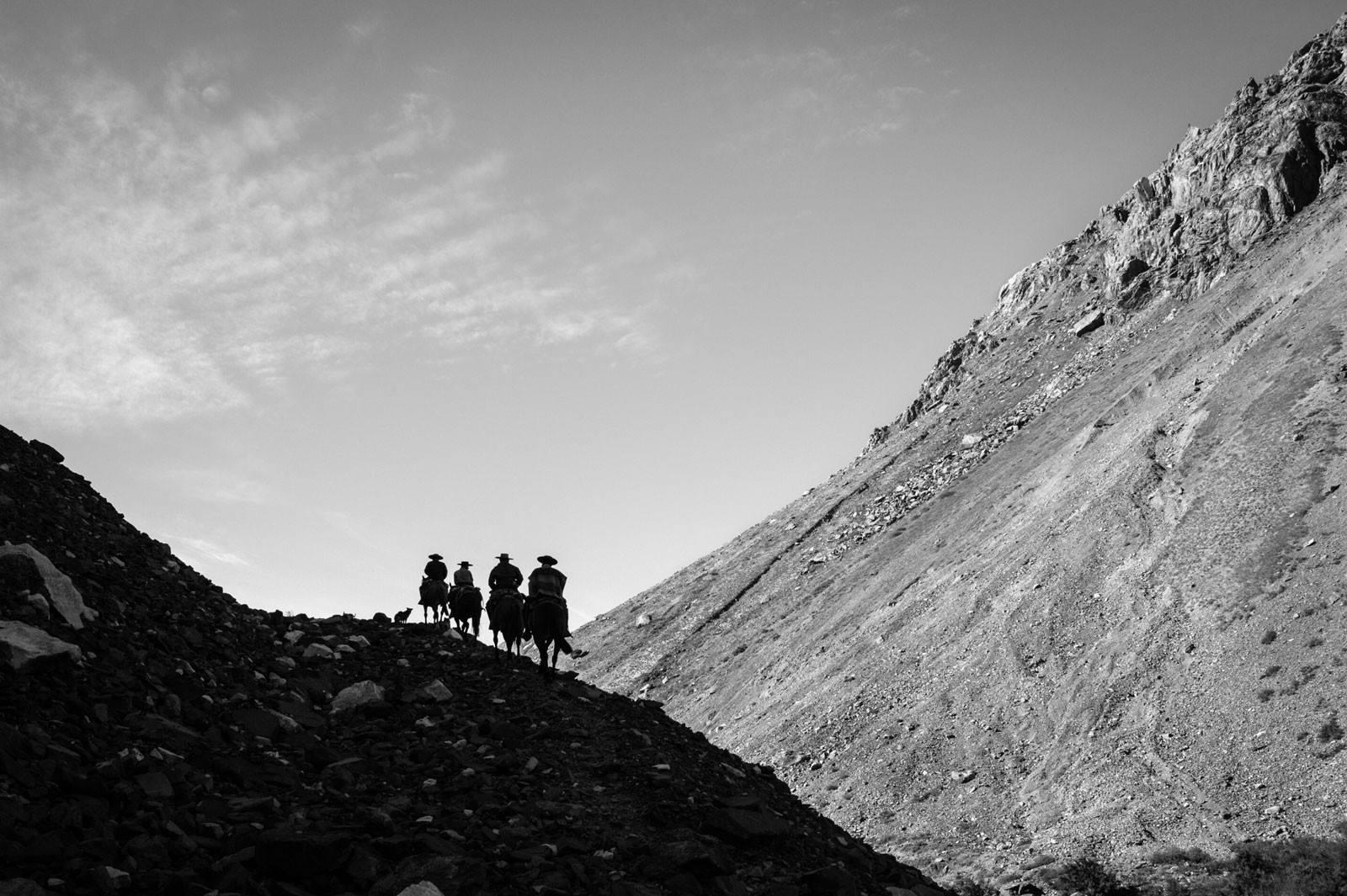 En el corazón de los Andes Centrales en busca de ganado salvaje, Huasos Chile, 2010