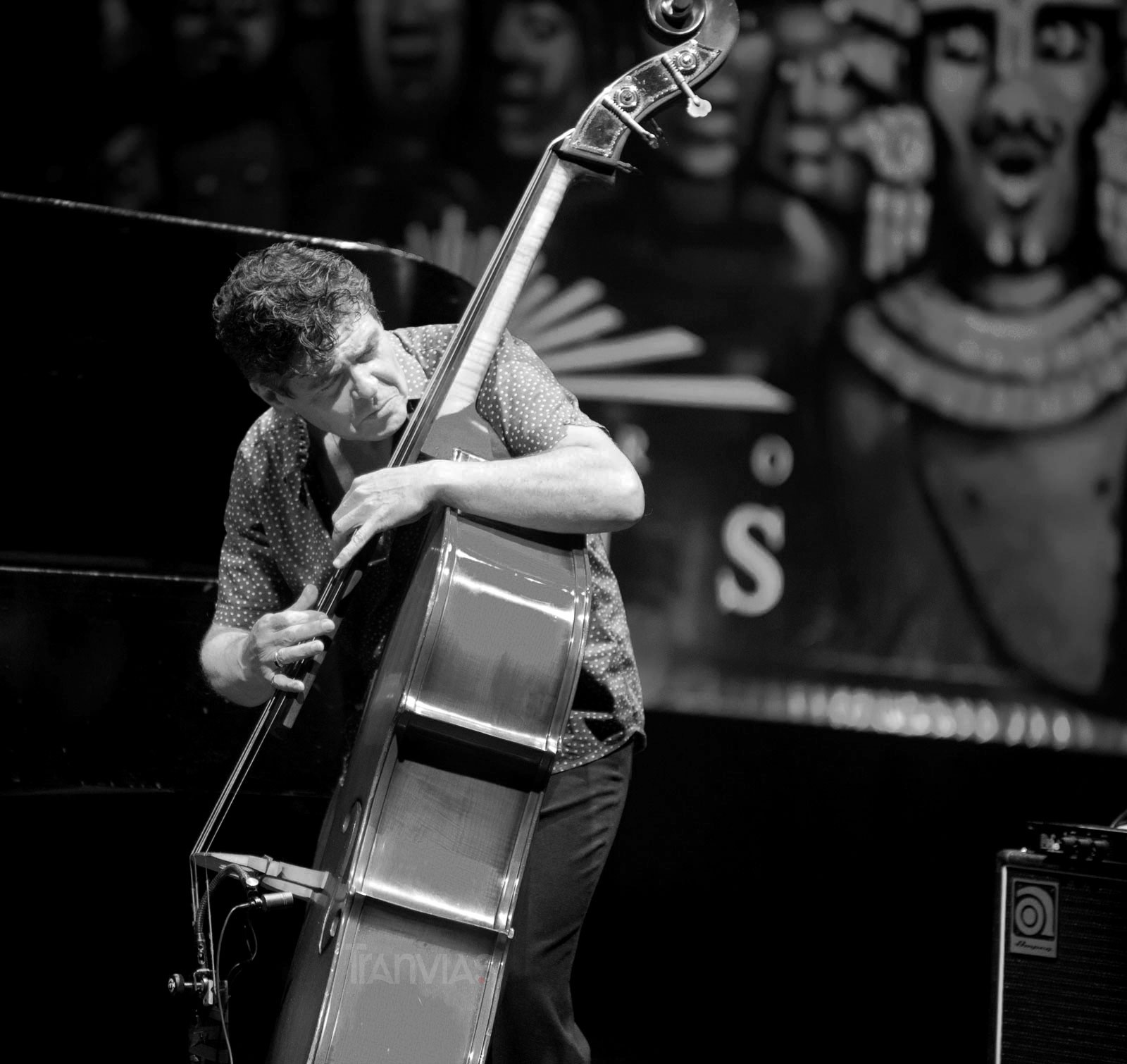 fotos aldo novick