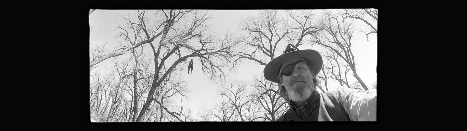 True Grit, 2010