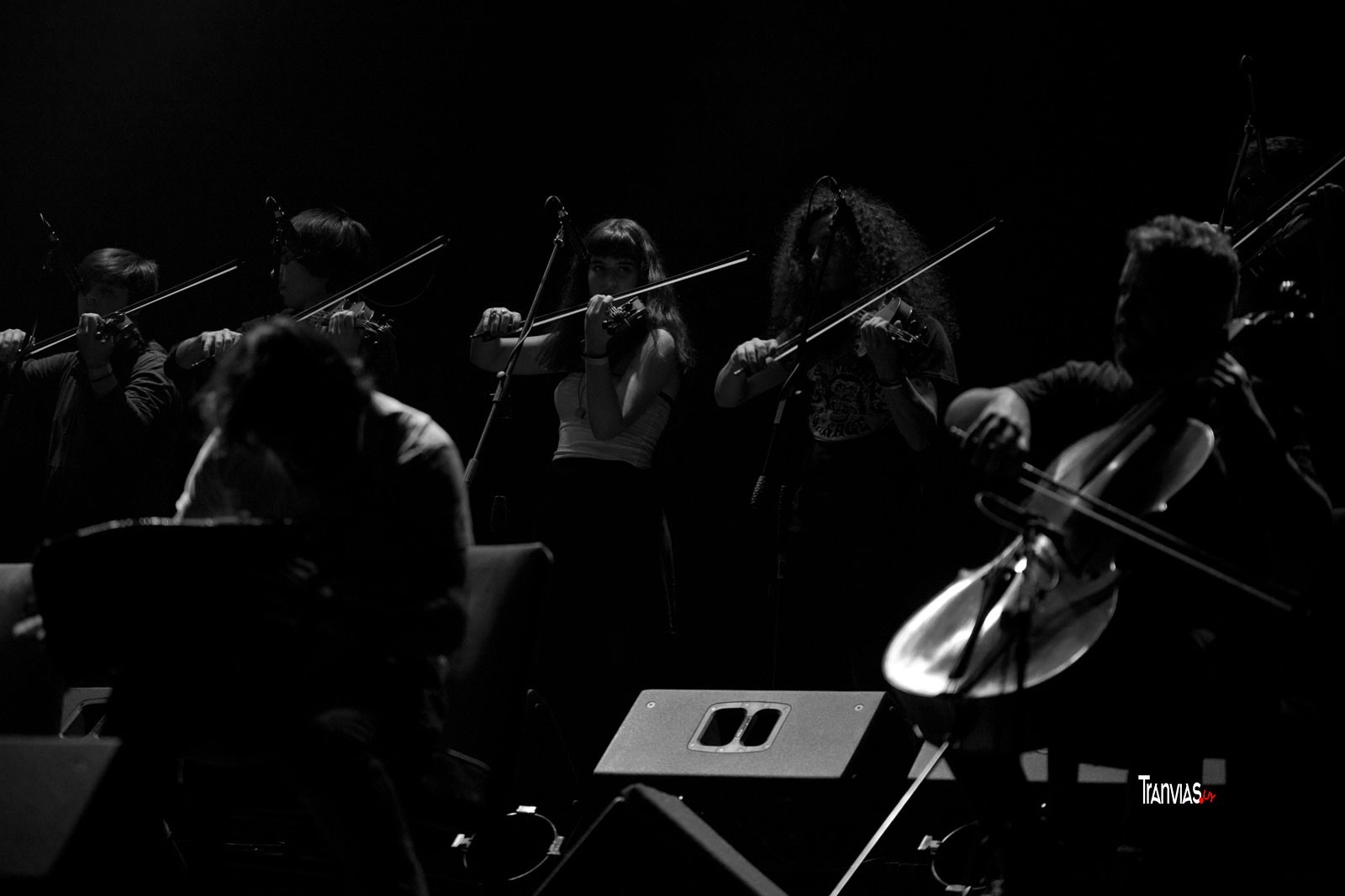 foto aldo novick