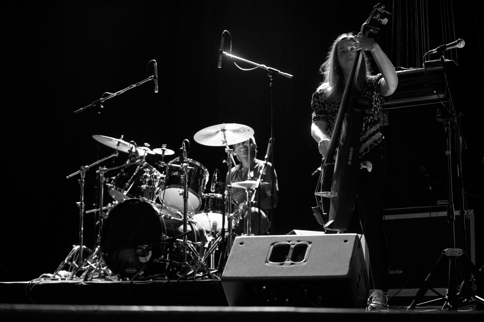 foto aldo novick