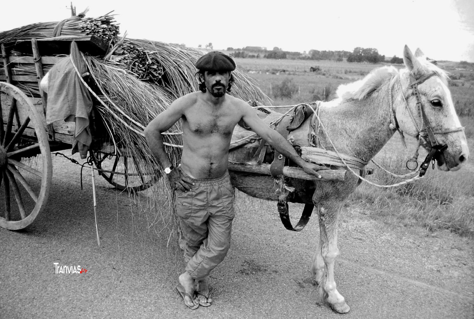 foto aldo novick