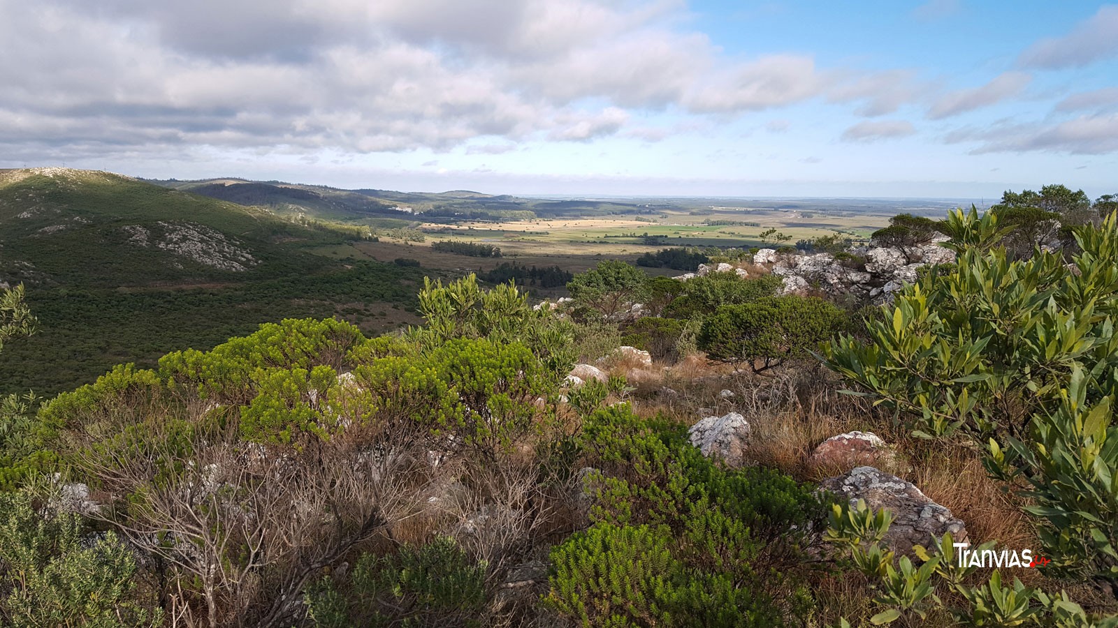 El campo natural ocupa un área importante de la Reserva. Dependiendo de la profundidad del suelo, varían las especies que lo componen. 