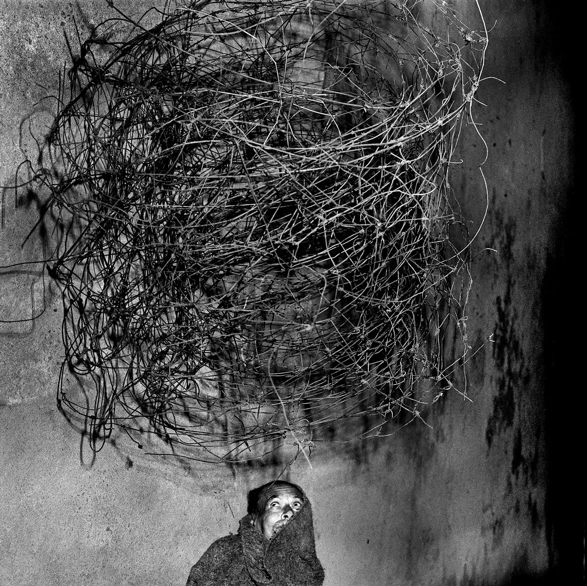 Twirling Wires, 2001