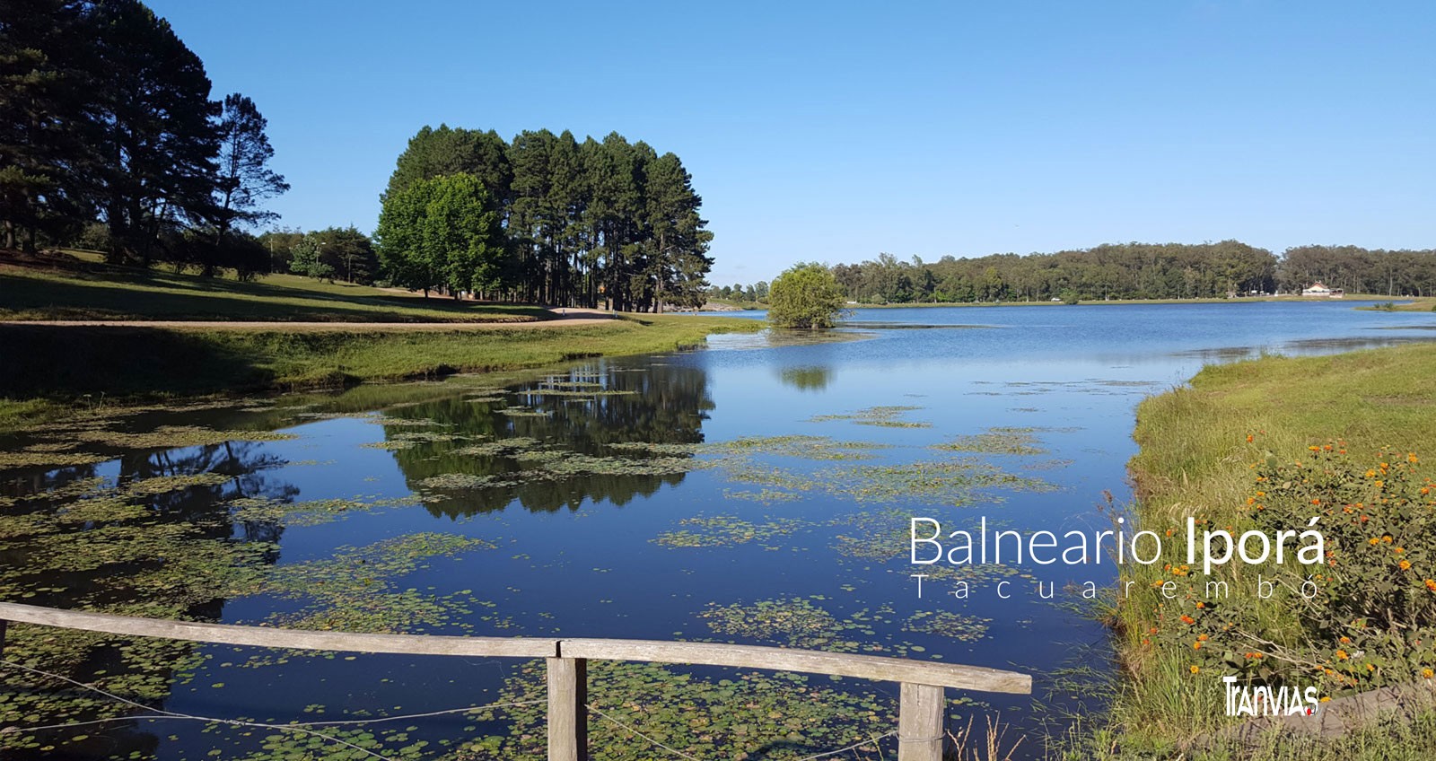 fotos tranvias.uy - aldo novick