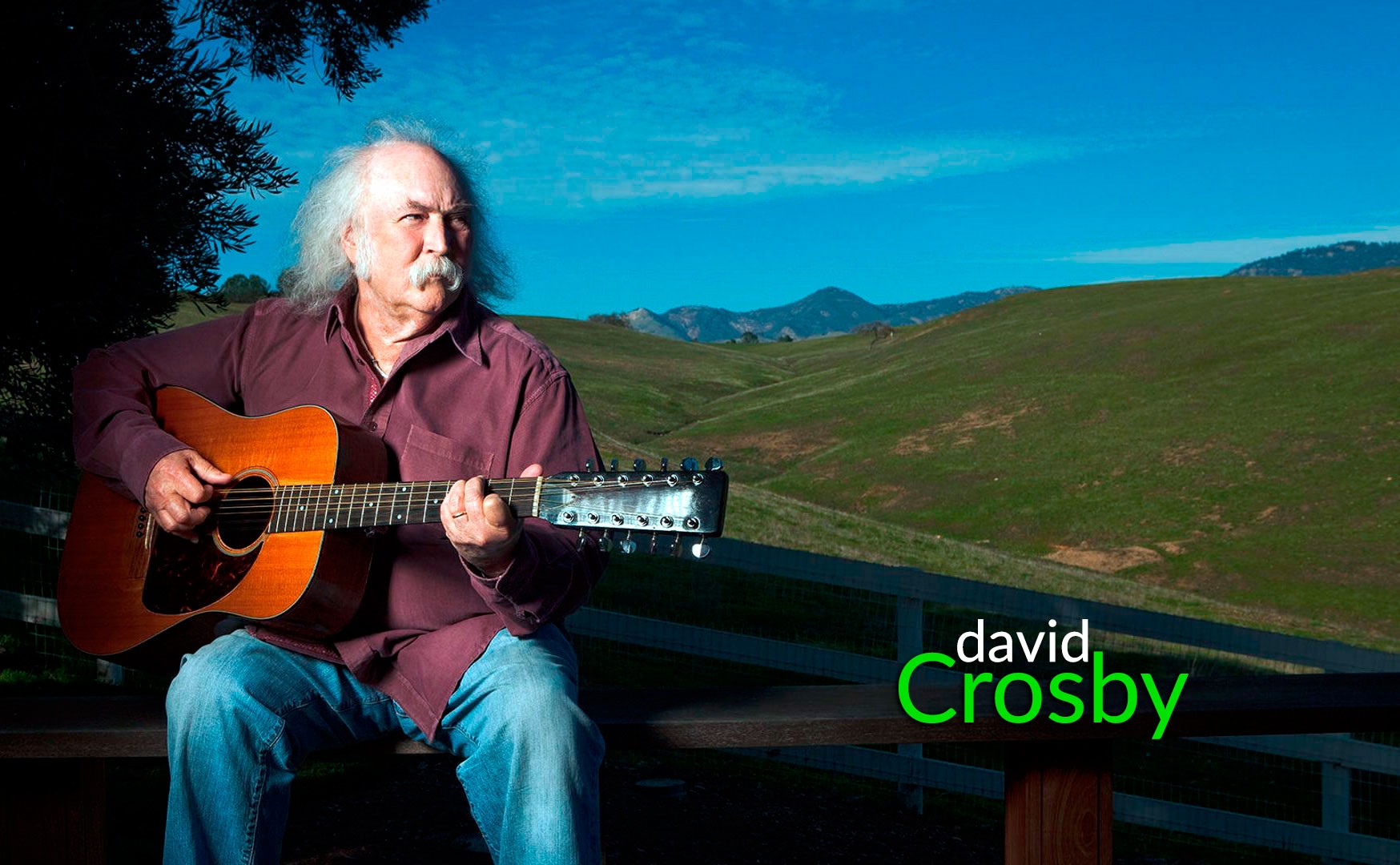 David Crosby - Sky Trails