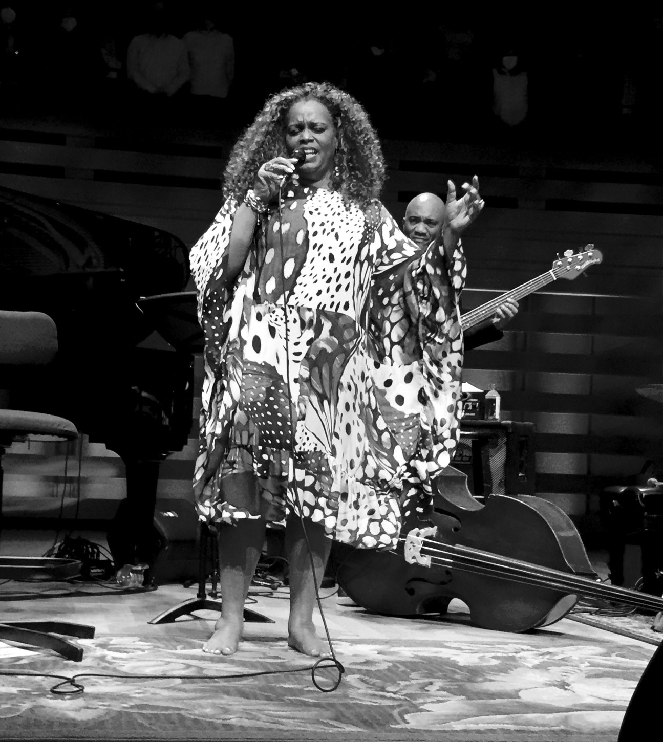 Dianne Reeves - Brazilian Reeves