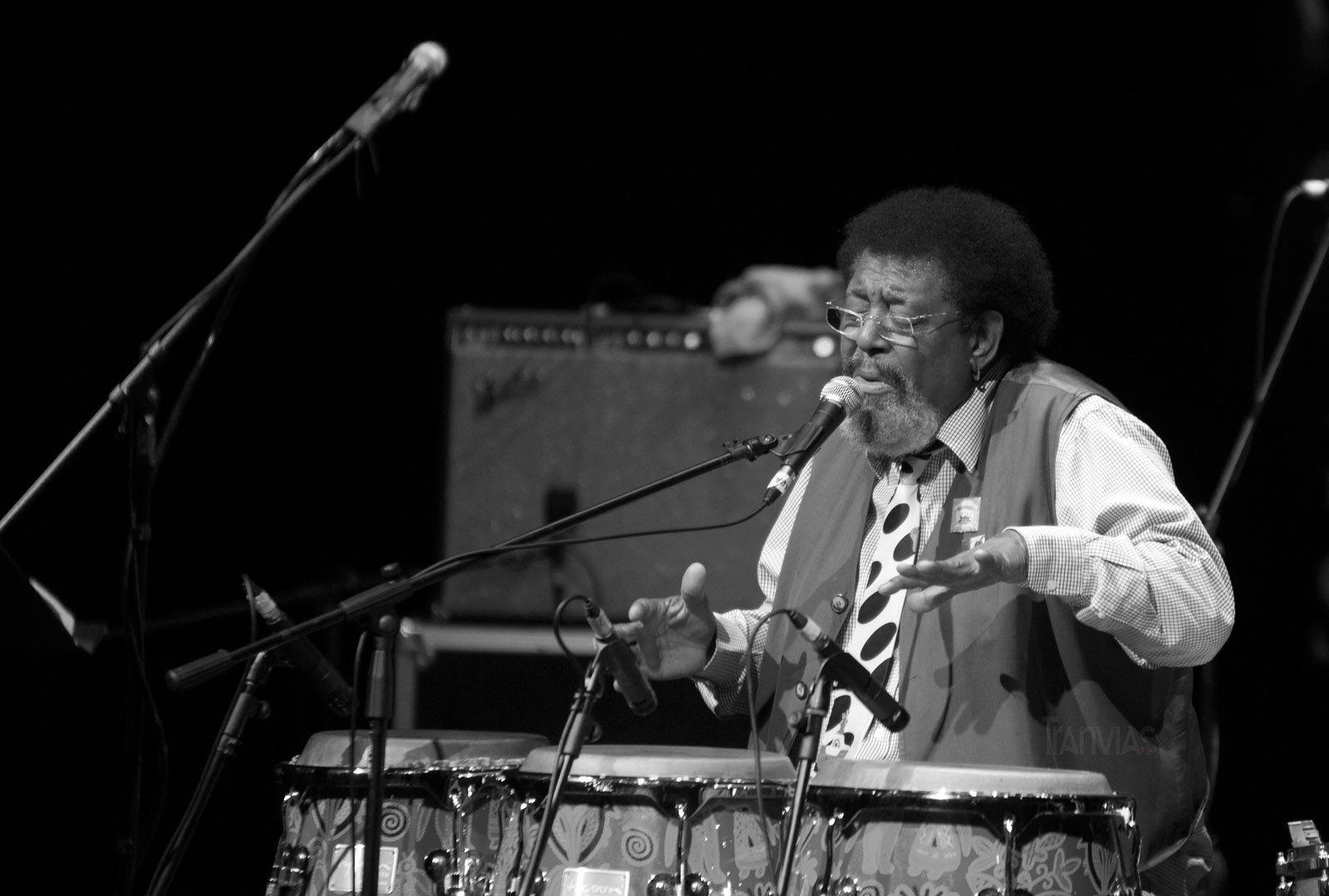 fotos aldo novick
