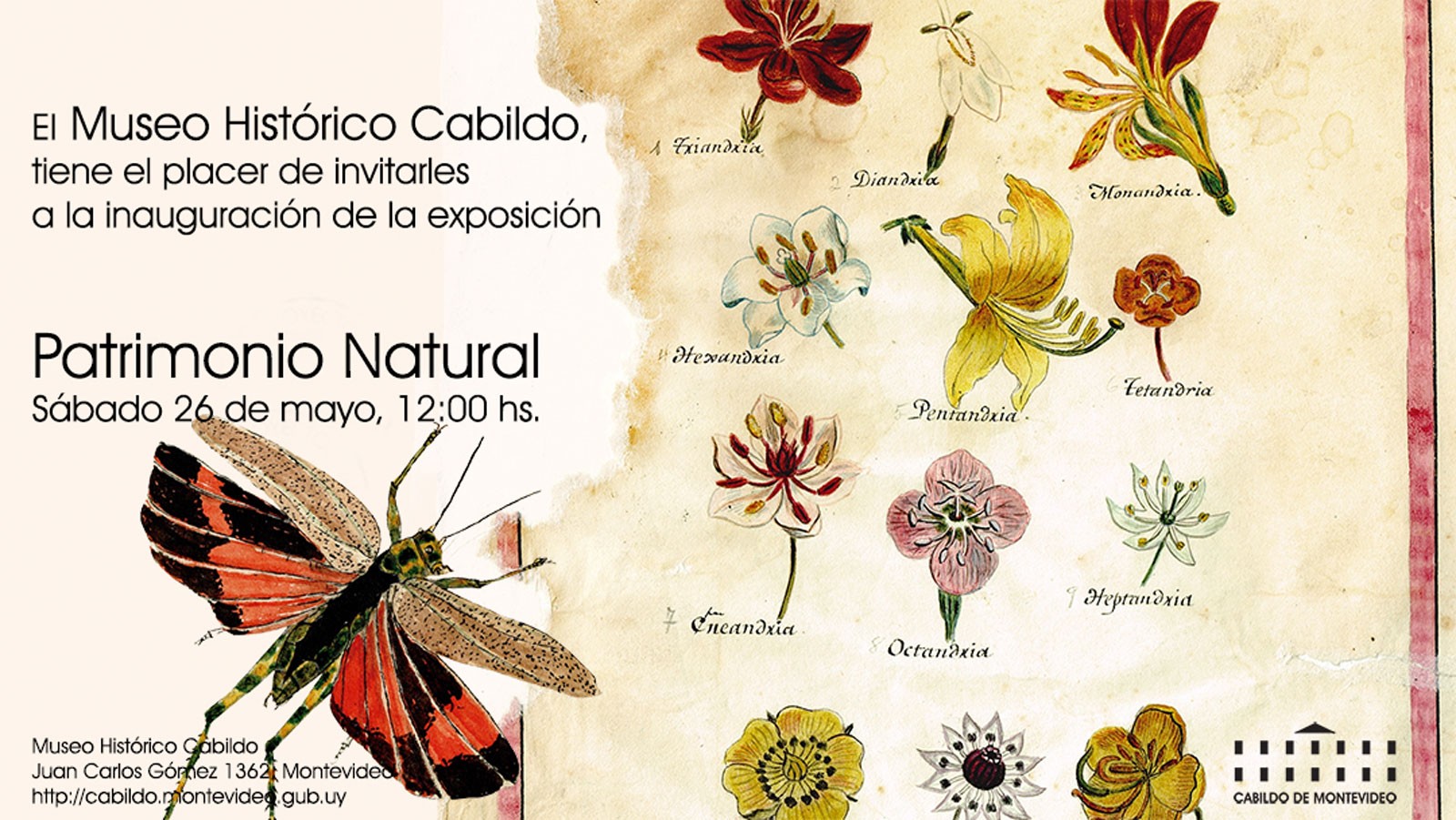 Patrimonio Natural