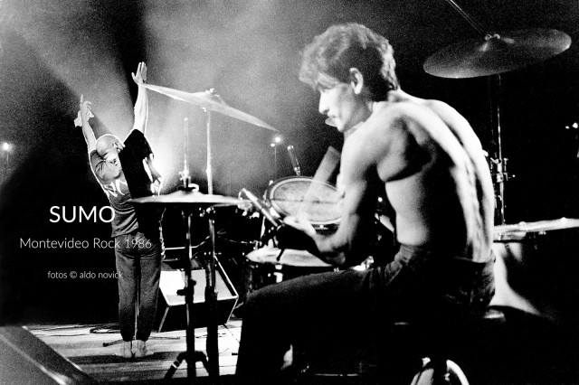 SUMO muestra on line